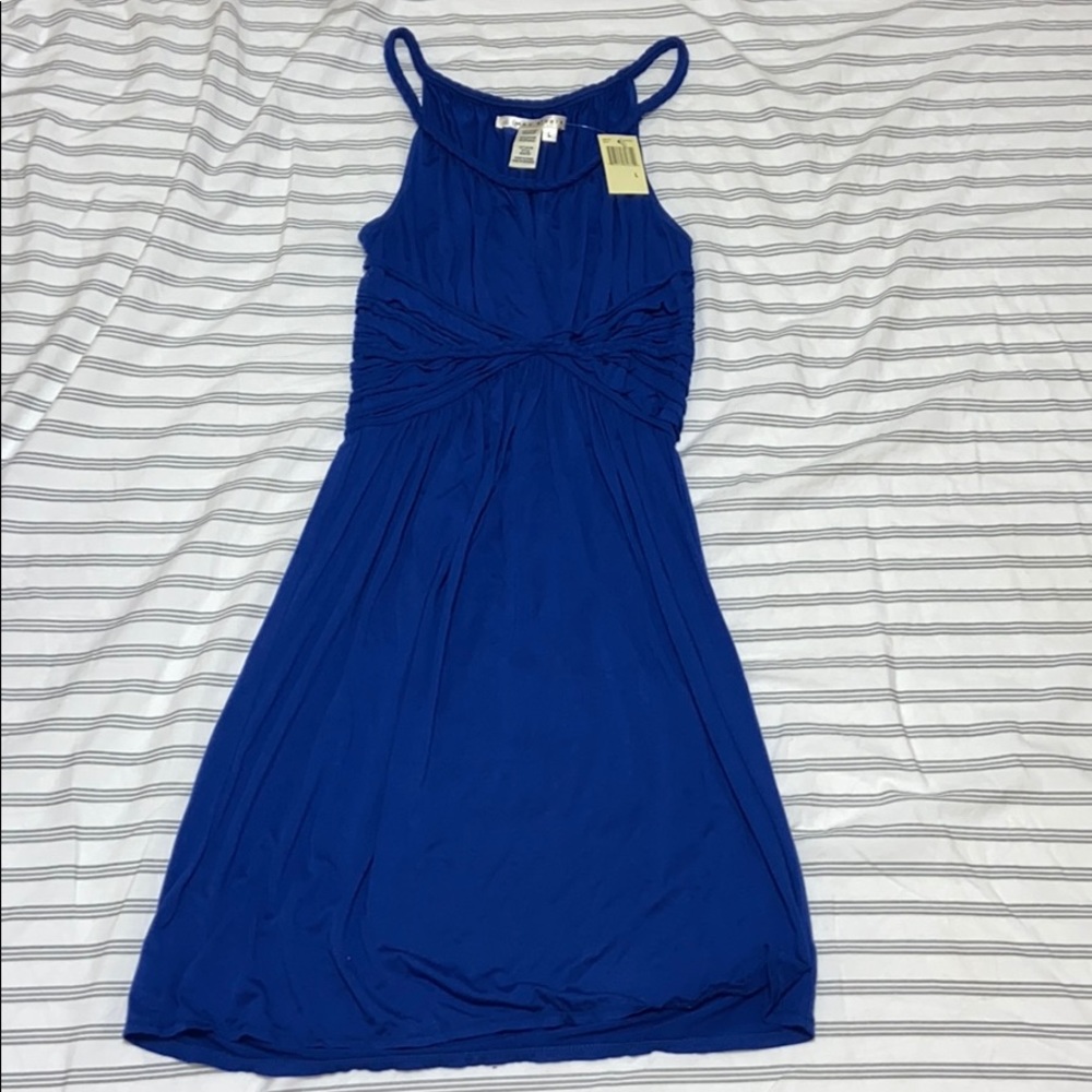 NWT Beautiful Blue Dress
